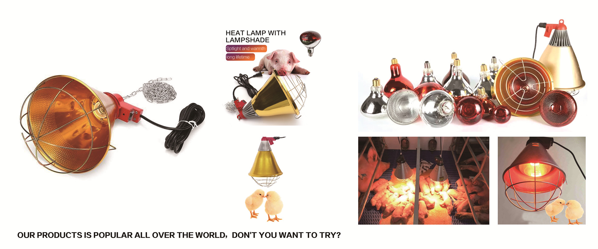 Infrared Poultry lamps and lamp cover